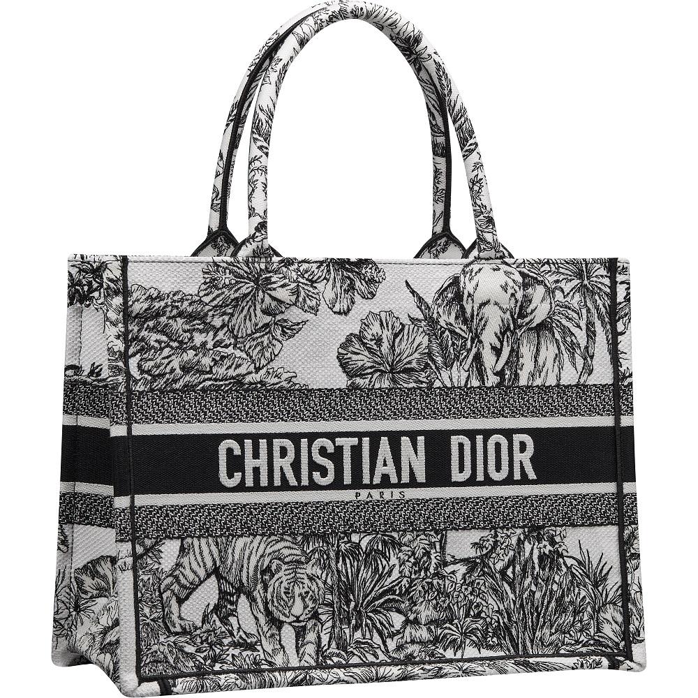 Dior Book Tote Bag Fall 2023