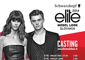 Schwarzkopf Elite Model Look SR 2014